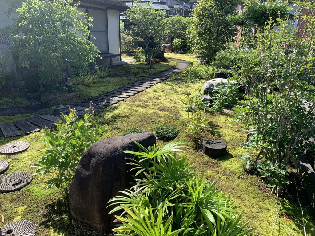 日々の観察を続けている自宅の苔庭