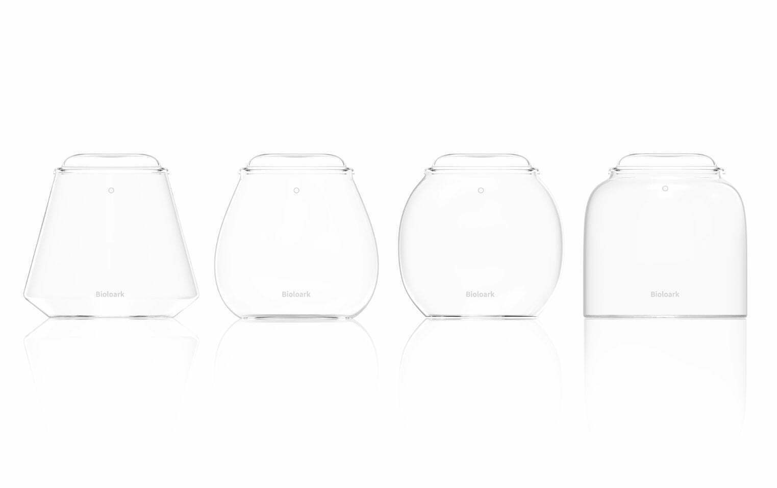 Bioloark のテラリウム専用容器 Bubble cup シリーズ