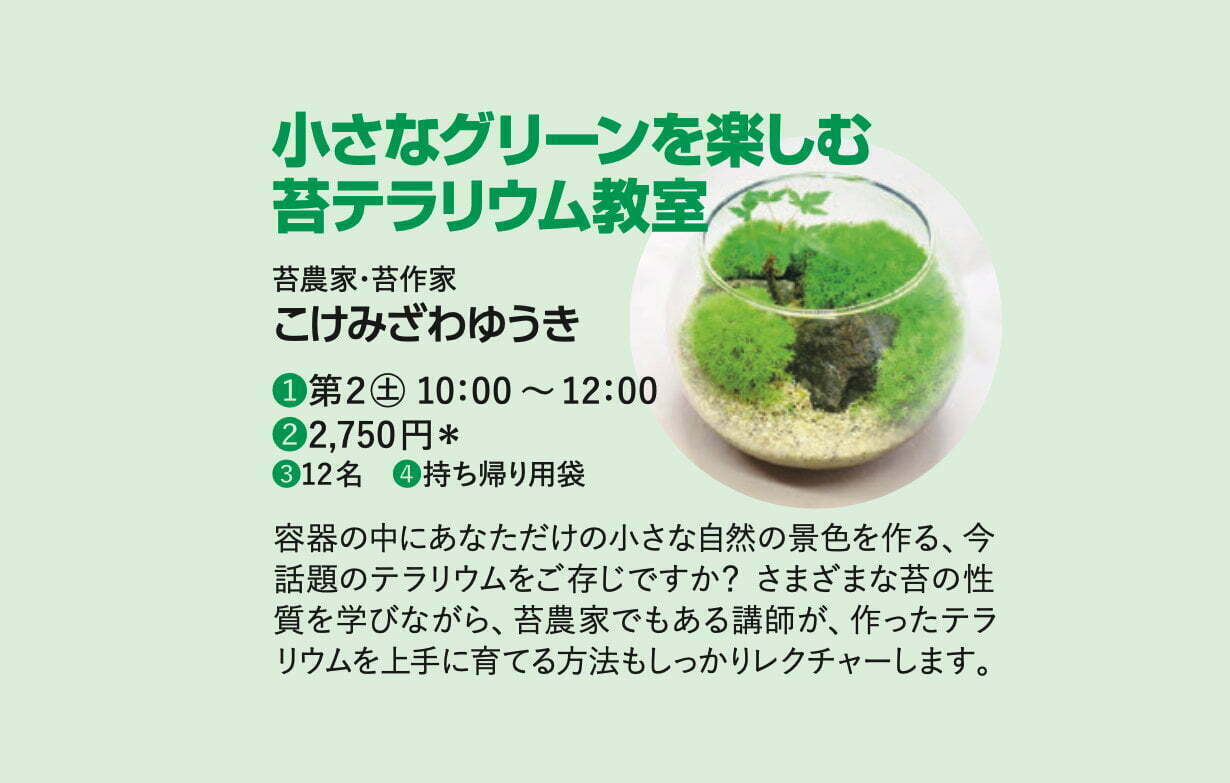 愛媛新聞カルチャースクールの苔テラリウム教室のお申し込みが開始されました