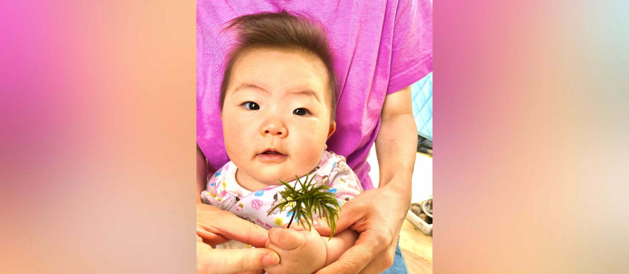 ストーリー「持続可能な苔栽培」を公開しました
