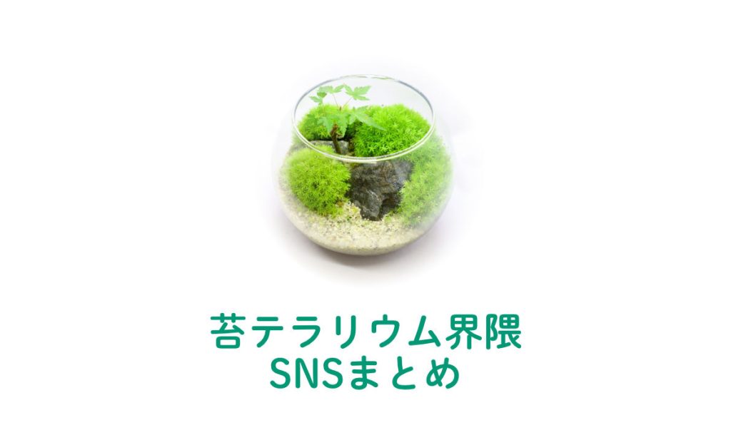 苔テラリウム界隈のSNSアカウントまとめ