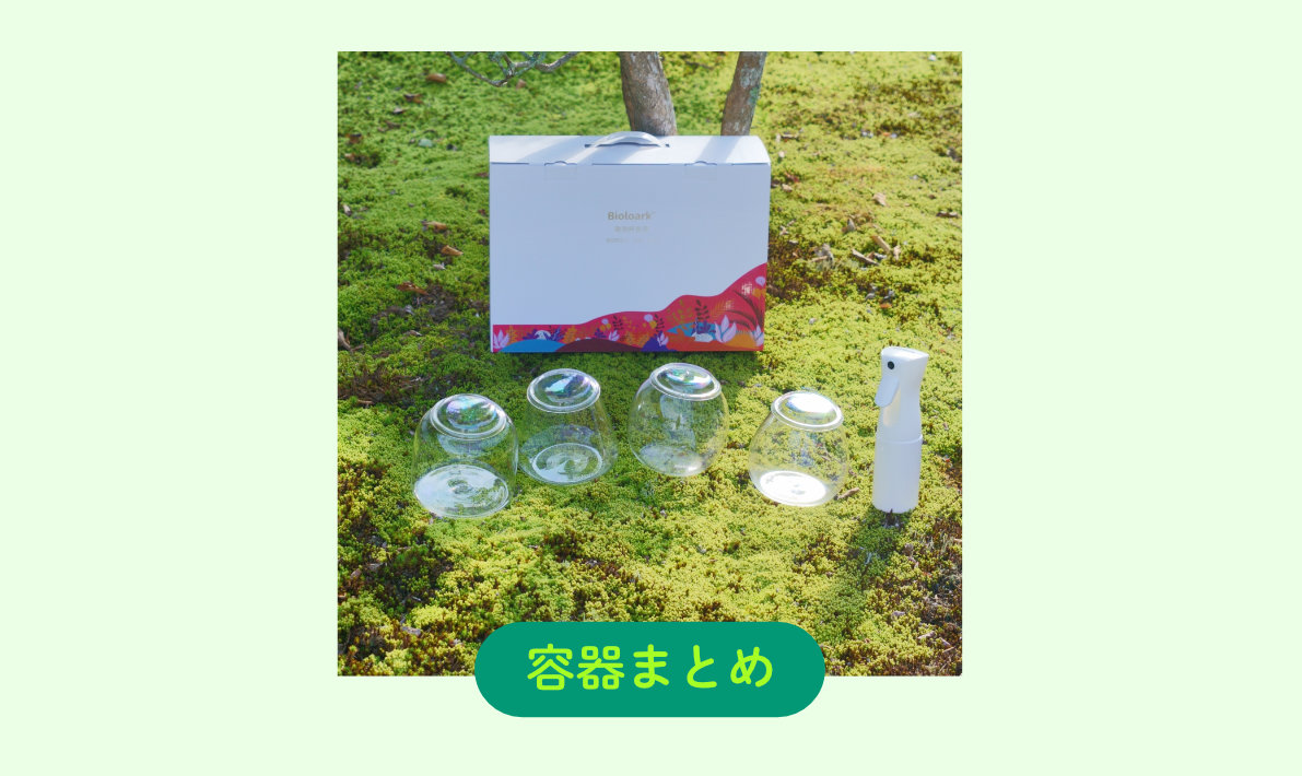 【完全版】苔テラリウム容器おすすめまとめ