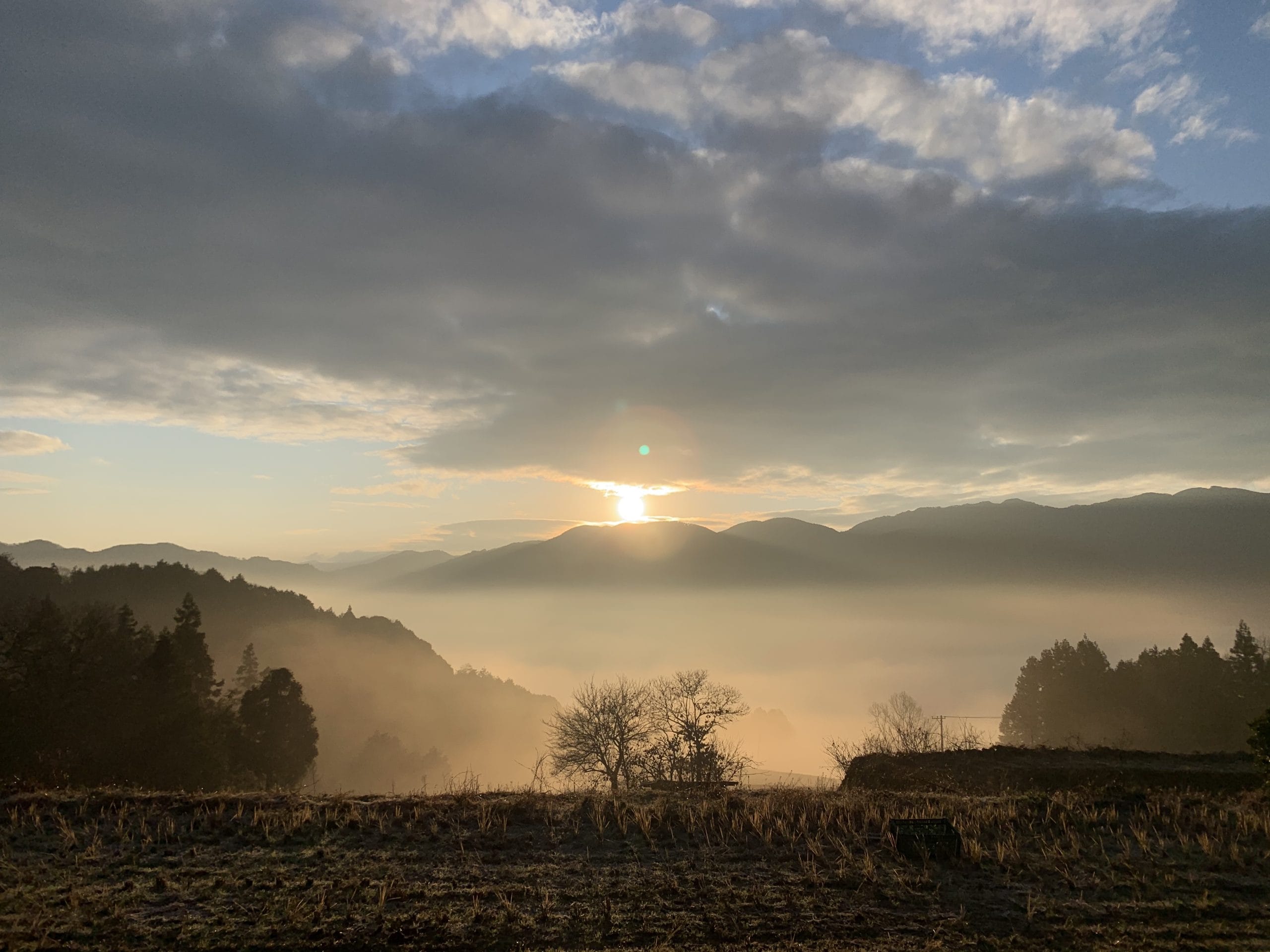 雲海の広がる里山に朝日が差す風景