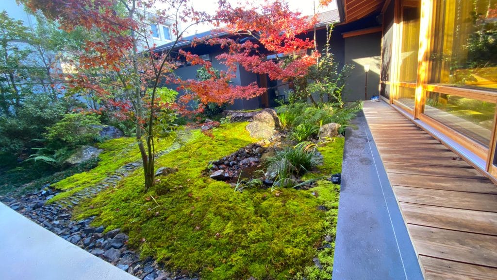 紅葉と苔、景石を組み合わせた苔庭の施工例