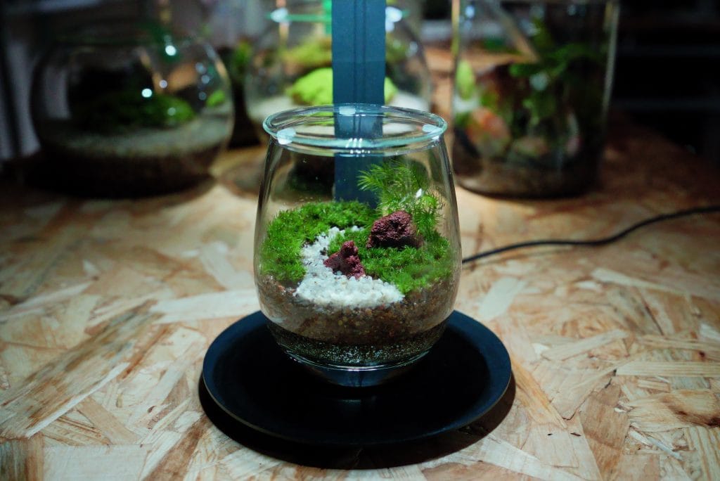 白砂と溶岩石を配した、照明付きガラス容器の苔テラリウム作品
