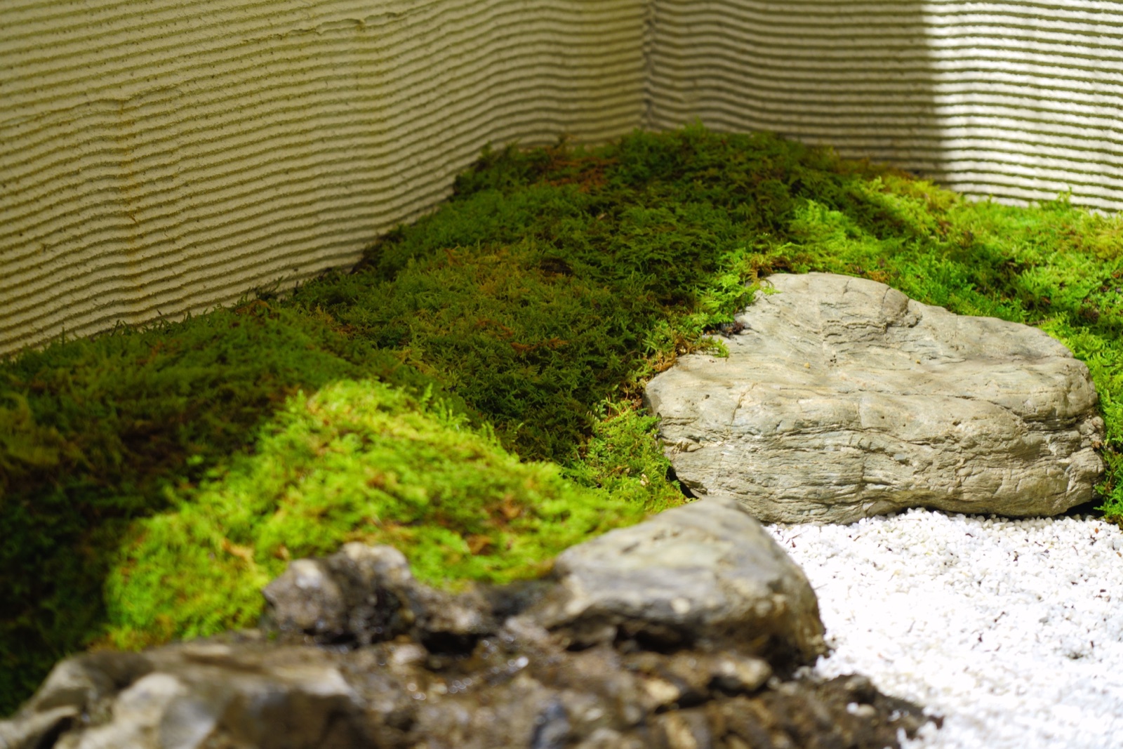 苔の起伏と、そこに据えられた景石