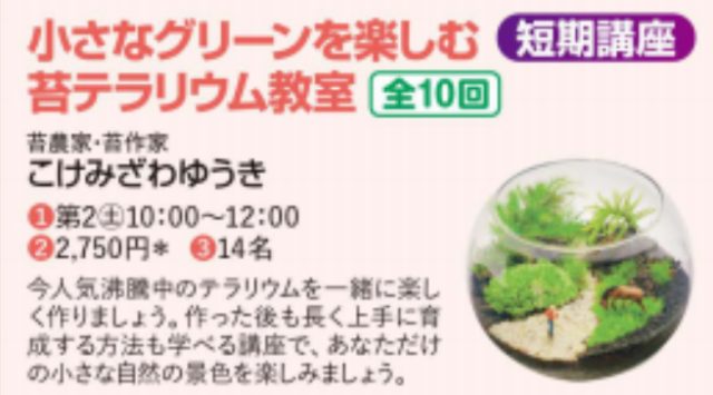 【4月開講】受講生募集中🌿愛媛新聞カルチャースクールで
4月から月1回、全10回の苔テラリウム教室がはじまります。容器の中に小さな自然の景色を作る
苔テラリウム。はじめての方でも大丈夫です。
苔農家・苔作家のこけみざわが
一つひとつ丁寧にお伝えします。毎回違う作品を作るので
回を重ねるごとに
テラリウムの世界が広がっていきます。📌 毎月第2土曜 10:00〜12:00
📌 第1回：4/11（土）
📌 全10回
📌 受講料：2,750円/月
📌 材料費：2,500円〜4,000円程度
📌 会場：愛媛新聞社別館（松山市）
📌 定員：14名（空きあり）お申し込みは
愛媛新聞カルチャースクール事務局へ
☎ 089-935-2361
（平日9:00〜17:00）#苔テラリウム #苔 #テラリウム #愛媛 #松山 #カルチャースクール #習い事 #愛媛新聞 #西予苔園 #植物のある暮らし #新しい趣味 #苔のある暮らし
