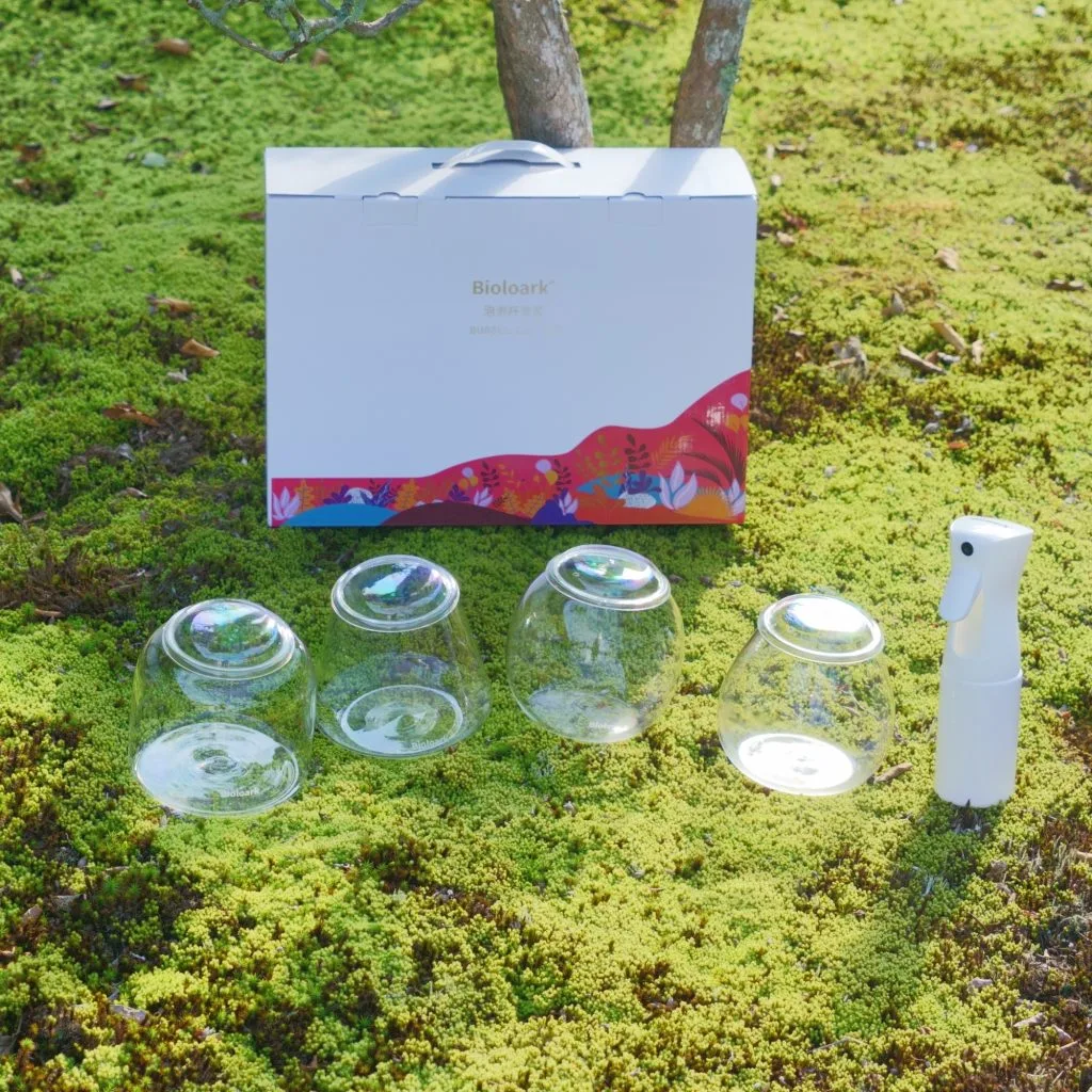 完全版】苔テラリウム容器おすすめまとめ | 西予苔園