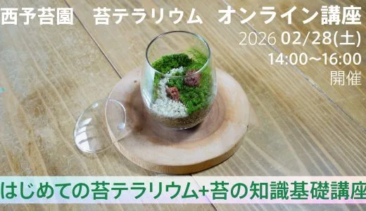 お知らせ」の記事一覧 | 西予苔園